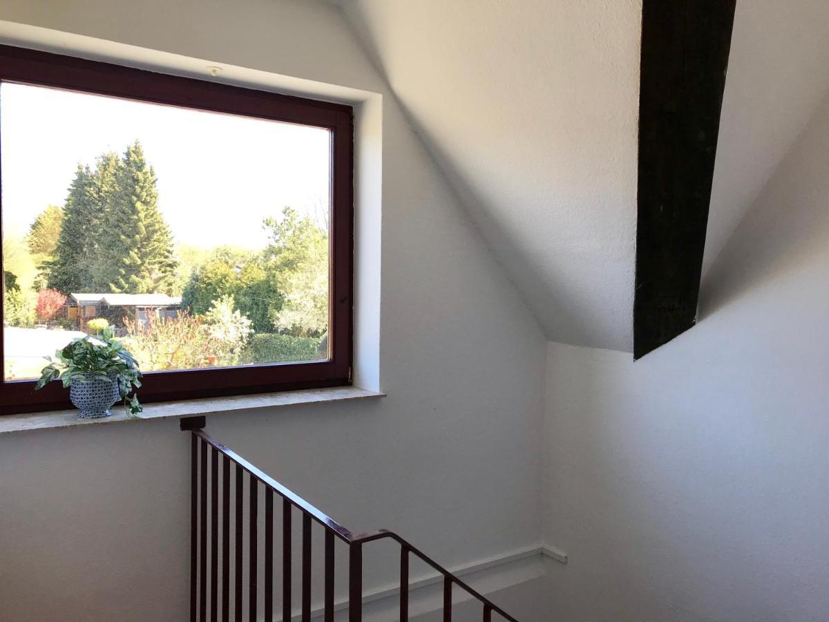 Mal Steinbock _ Ferienwohnung Anni Malente Esterno foto